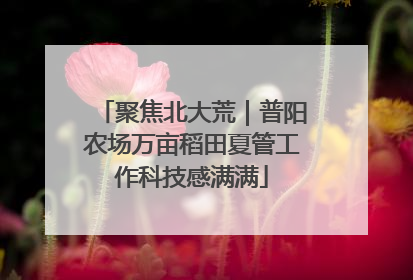 聚焦北大荒｜普阳农场万亩稻田夏管工作科技感满满