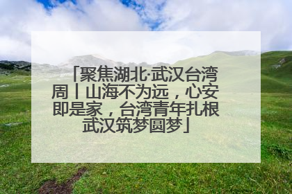 聚焦湖北·武汉台湾周丨山海不为远，心安即是家，台湾青年扎根武汉筑梦圆梦