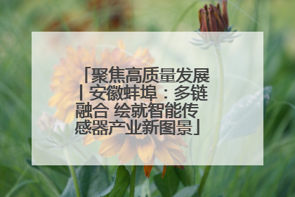 聚焦高质量发展丨安徽蚌埠：多链融合 绘就智能传感器产业新图景
