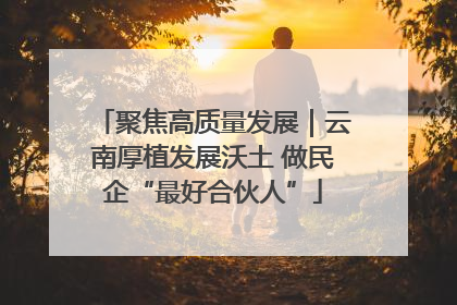 聚焦高质量发展｜云南厚植发展沃土 做民企“最好合伙人”