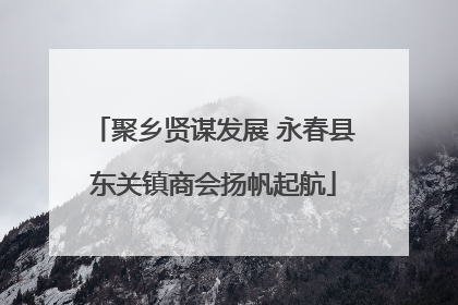 聚乡贤谋发展 永春县东关镇商会扬帆起航