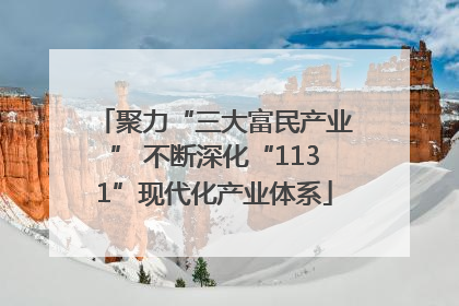 聚力“三大富民产业” 不断深化“1131”现代化产业体系