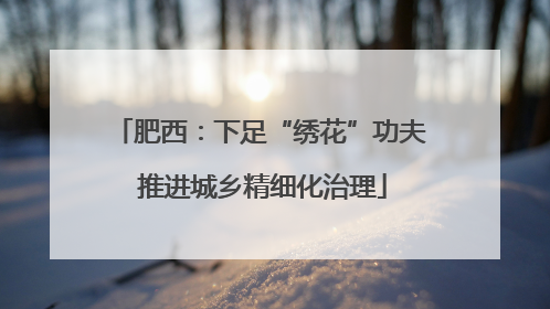 肥西：下足“绣花”功夫 推进城乡精细化治理