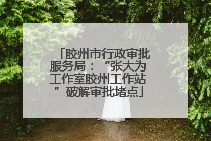 胶州市行政审批服务局：“张大为工作室胶州工作站”破解审批堵点