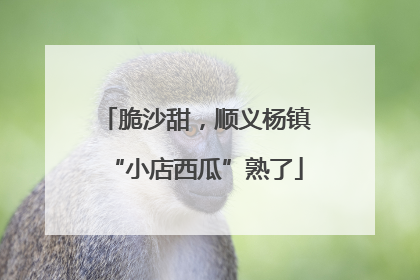 脆沙甜，顺义杨镇“小店西瓜”熟了