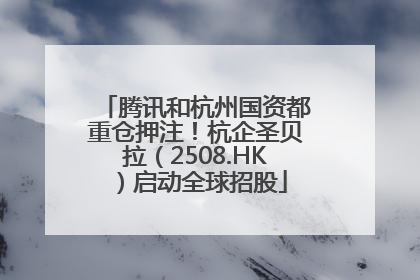腾讯和杭州国资都重仓押注！杭企圣贝拉（2508.HK）启动全球招股
