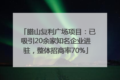 腊山复利广场项目：已吸引20余家知名企业进驻，整体招商率70%