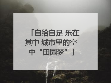 自给自足 乐在其中 城市里的空中“田园梦”