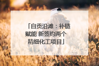 自贡沿滩：补链赋能 新签约两个精细化工项目