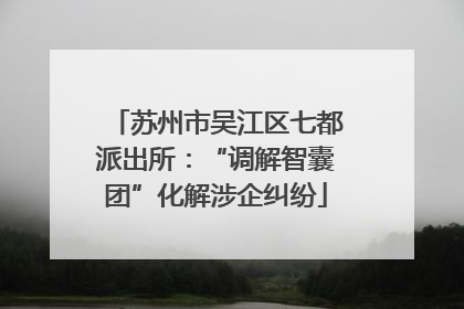 苏州市吴江区七都派出所：“调解智囊团”化解涉企纠纷
