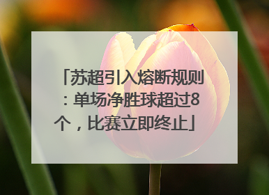 苏超引入熔断规则：单场净胜球超过8个，比赛立即终止