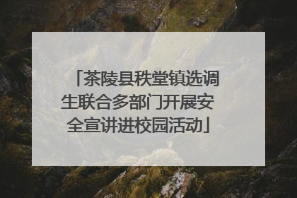 茶陵县秩堂镇选调生联合多部门开展安全宣讲进校园活动