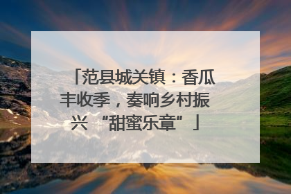 范县城关镇：香瓜丰收季，奏响乡村振兴 “甜蜜乐章”