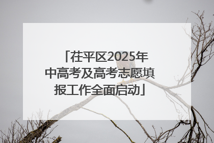 茌平区2025年中高考及高考志愿填报工作全面启动