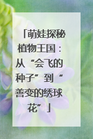 萌娃探秘植物王国：从“会飞的种子”到“善变的绣球花”