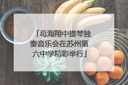 葛海翔中提琴独奏音乐会在苏州第六中学精彩举行