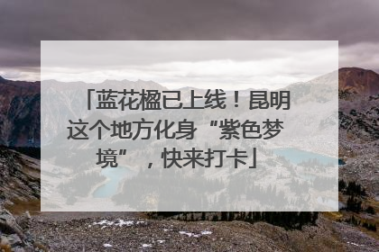 蓝花楹已上线！昆明这个地方化身“紫色梦境”，快来打卡