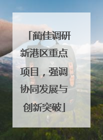 蔺佳调研新港区重点项目，强调协同发展与创新突破