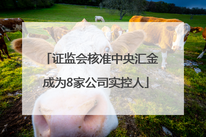 证监会核准中央汇金成为8家公司实控人