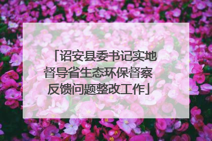 诏安县委书记实地督导省生态环保督察反馈问题整改工作
