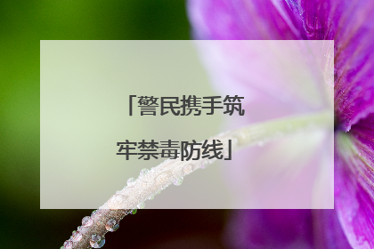 警民携手筑牢禁毒防线