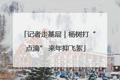 记者走基层｜杨树打“点滴” 来年抑飞絮