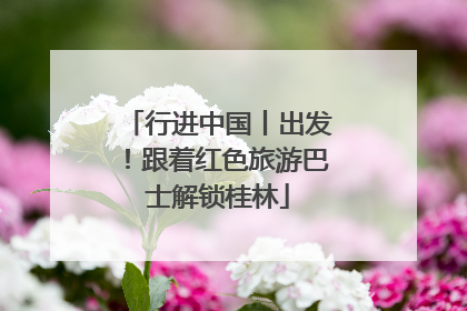 行进中国丨出发！跟着红色旅游巴士解锁桂林