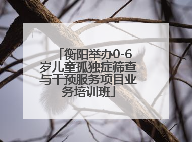 衡阳举办0-6岁儿童孤独症筛查与干预服务项目业务培训班