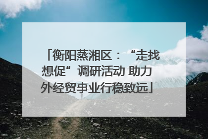 衡阳蒸湘区：“走找想促”调研活动 助力外经贸事业行稳致远