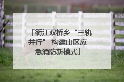 衢江双桥乡“三轨并行” 构建山区应急消防新模式