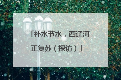 补水节水，西辽河正复苏（探访）