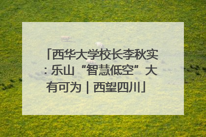 西华大学校长李秋实：乐山“智慧低空”大有可为｜西望四川