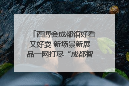 西博会成都馆好看又好耍 新场景新展品一网打尽“成都智造”｜西博视界
