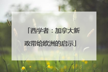西学者：加拿大新政带给欧洲的启示
