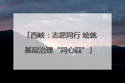 西峡：志愿同行 绘就基层治理“同心圆”
