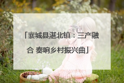 襄城县湛北镇：三产融合 奏响乡村振兴曲