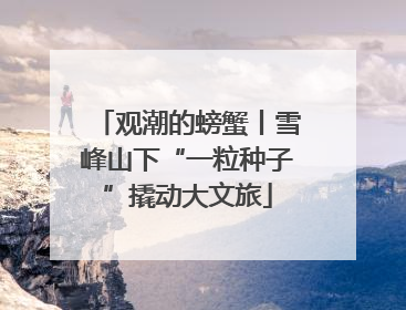 观潮的螃蟹丨雪峰山下“一粒种子”撬动大文旅