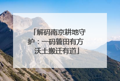 解码南京耕地守护：一码管田有方 沃土搬迁有道