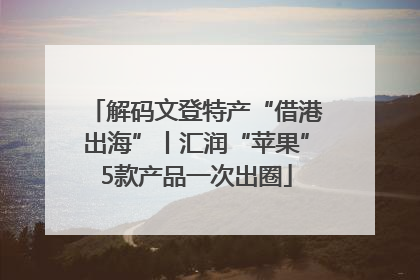 解码文登特产“借港出海”丨汇润“苹果”5款产品一次出圈