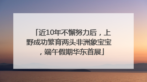 近10年不懈努力后，上野成功繁育两头非洲象宝宝，端午假期华东首展