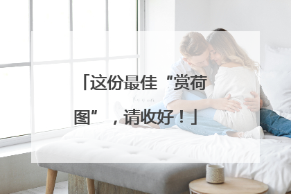 这份最佳“赏荷图”，请收好！