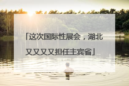 这次国际性展会，湖北又又又又担任主宾省