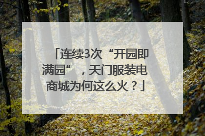 连续3次“开园即满园”，天门服装电商城为何这么火？