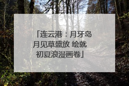 连云港：月牙岛月见草盛放 绘就初夏浪漫画卷