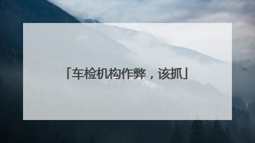 车检机构作弊，该抓