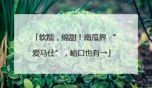 软糯，绵甜！南瓜界 “爱马仕”，峪口也有→