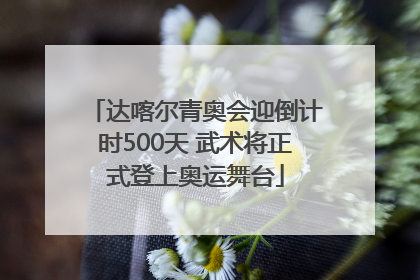 达喀尔青奥会迎倒计时500天 武术将正式登上奥运舞台