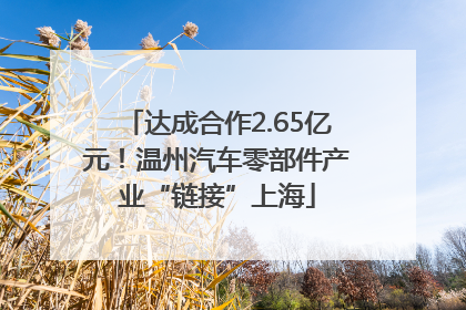 达成合作2.65亿元！温州汽车零部件产业“链接”上海