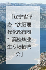 辽宁省举办“沈阳现代化都市圈”高校毕业生专场招聘会