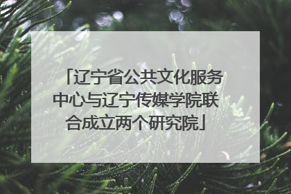 辽宁省公共文化服务中心与辽宁传媒学院联合成立两个研究院